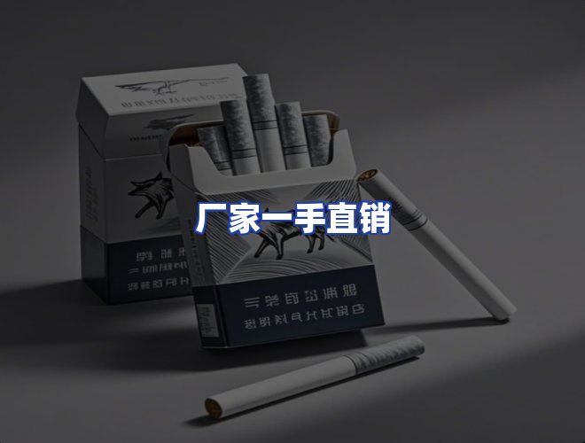 专业团队